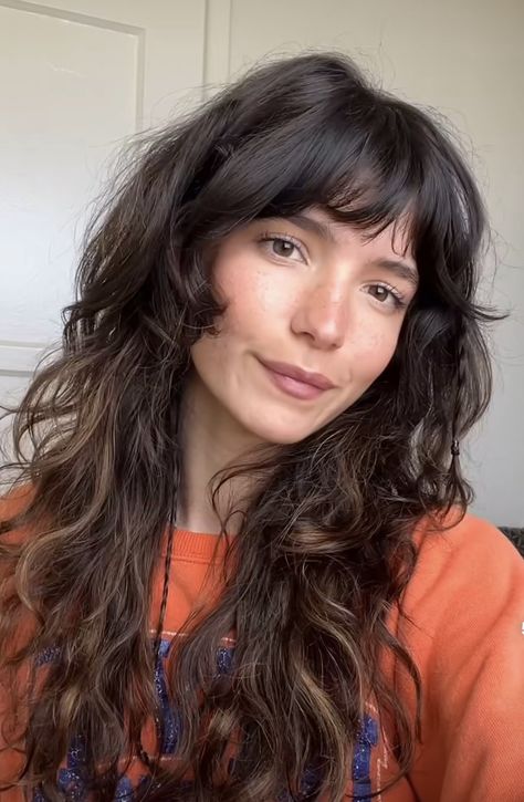 Shag Long Wavy Hair, Wavy Hair Long Shag, 70s Curly Hair With Bangs, Shaggy Hair With Highlights, Soft Shag Haircut Wavy Hair, Soft Shag Wavy Hair, Long French Fringe, Wolf Haircut Wavy, Bangs With Waves