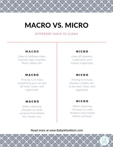 List detailing the difference between macro and micro cleaning Clutterbug Bee Organization, Cricket Organization Style Clutterbug, Bee Organization Style Clutterbug, Clutterbug Bee, Bee Organization, Clutter Bug, Mold And Mildew Remover, Understand Yourself, House Keeping