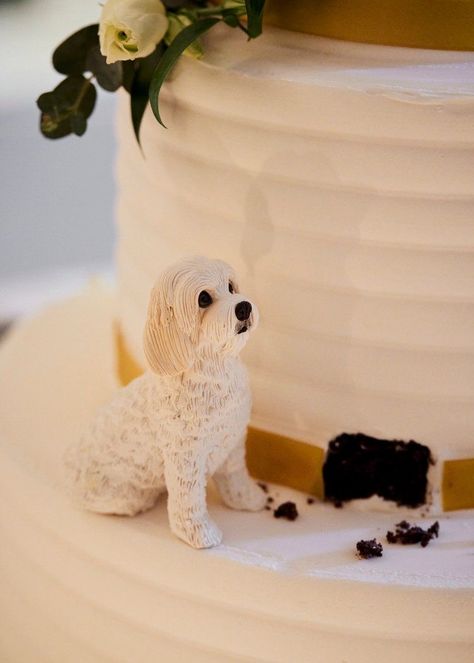 Dog Eating Wedding Cake Figurine, Wedding With Animals, Simple Wedding Cake With Dog Topper, Dog Wedding Topper, Wedding Cake Dog Figurine, Wedding Flower Dog, Small Wedding Cake With Dog, Wedding Cake With Pets, Wedding Cake With Dog Peeking Out