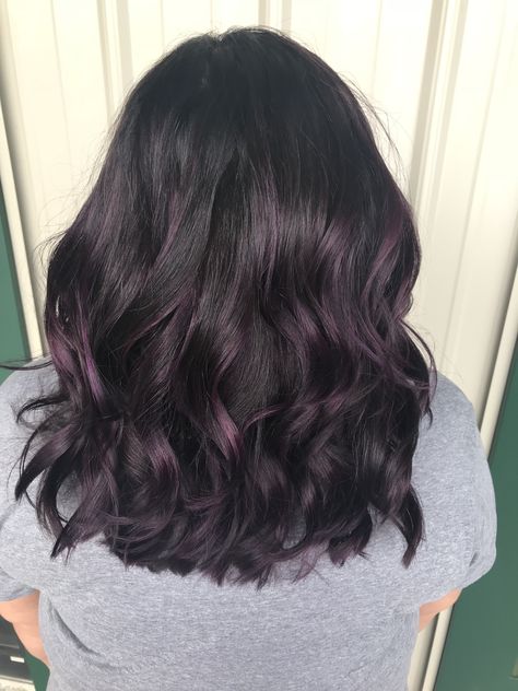 Purple Hair Colour On Black Hair, Dark Brown Hair With Purple Lowlights, Purple Hair Subtle, Brown Hair With Purple Lowlights, Black Purple Highlights, Subtle Purple Highlights For Dark Hair, Hint Of Purple Hair, Short Layered Hair Color Ideas, Professional Purple Hair