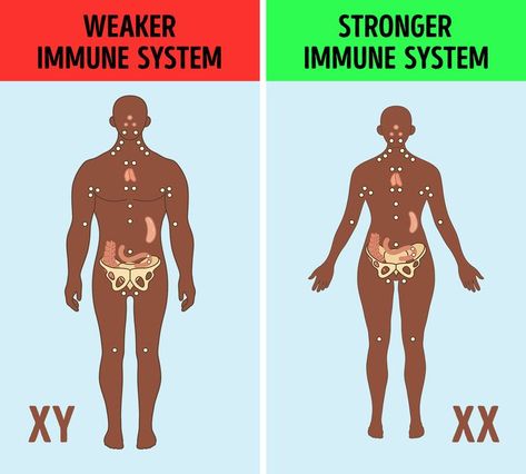 The X chromosome is a part of a good immune system. X Chromosome, Creative Dates, Stronger Immune System, Romantic Date Ideas, On The Bright Side, Weird Things, Strange Things, Relationship Memes, Romantic Dates