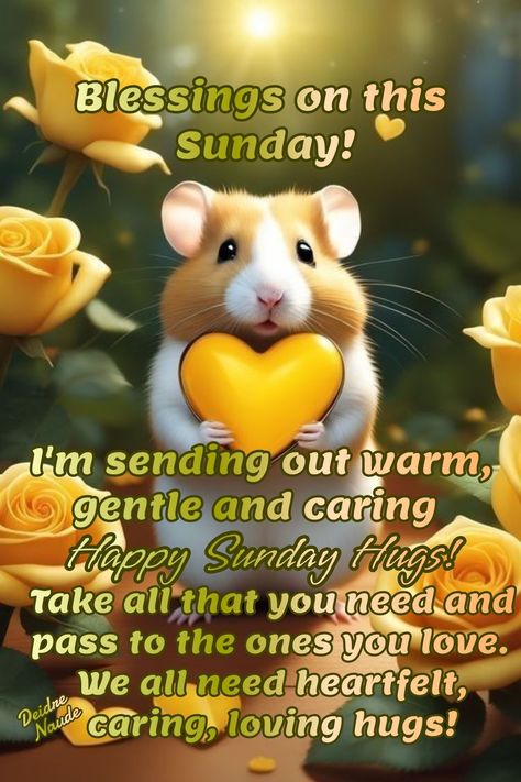 #goodmorning #goeiemore
#Blessingsonthissunday #sunday #happysundayhugs Happy Blessed Sunday, Sunday Hugs, Sunday Greetings, Sunday Blessings, Blessed Sunday, Cute Good Morning, Morning Blessings, Inspirational Quotes About Love, Good Morning Beautiful