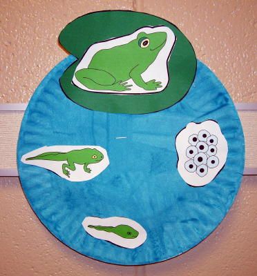 Metamorfosis de la rana Tadpole To Frog Craft, Frog Life Cycle Craft, Pond Life Theme, Frogs Preschool, Frog Activities, Frog Life Cycle, Life Cycle Craft, Lifecycle Of A Frog, Frog Life