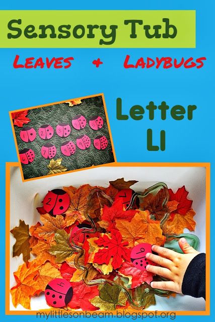 Letter L Sensory Bin, Sensory Alphabet, Alliteration Activities, Tree Unit, Worksheet Alphabet, School Age Crafts, Preschool Activities At Home, Preschool Sensory, Letter Song