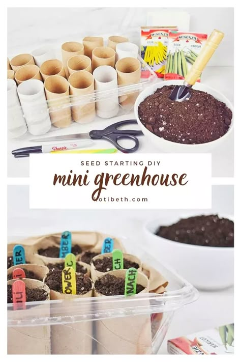 Inside Green House Ideas Diy, Toilet Paper Roll Planter Seed Starting, Diy Inside Greenhouse Ideas, How To Start Seedlings Indoors, Gardening For Kids Activities, Diy Planter Indoor, Upcycled Planters Indoor, Mini Greenhouse Diy, Seed Starting Indoors Diy