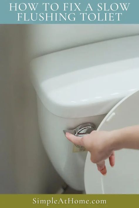 Slow-Flushing Toilets: Simple Solutions to Common Problems • Simple At Home Slow Flushing Toilet, Replace Toilet, Toilet Handle, Clogged Toilet, House Hacks, Downstairs Toilet, Plumbing Problems, Clogged Drain, Drain Pipe