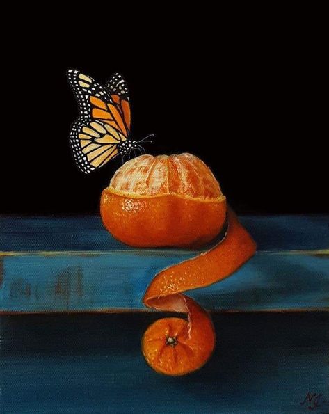 Cocktail Still Life, Peeled Orange, Oil Painting Videos, Oil Painting Inspiration, Pastel Butterflies, Orange Painting, Orange Butterfly, Oil Painting For Sale, Still Life Oil Painting