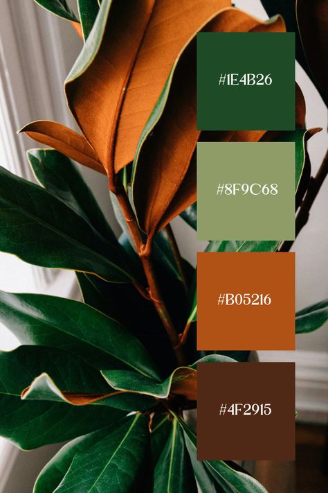 Brown and Green Color Palette: Lush green leaves with a warm brown underside, creating a rich and natural contrast. The combination of earthy tones evokes a sense of warmth and vitality. Army Green Pallet Color Schemes, Army Green Color Palette Fashion, Rust Yellow Color Palette, Olive And Brown Color Palette, Mint And Olive Green Color Palettes, Olive Green And Sage Green, Sage Green Burnt Orange Color Palette, Olive Pallet Colour Palettes, Green Brown Interior Design