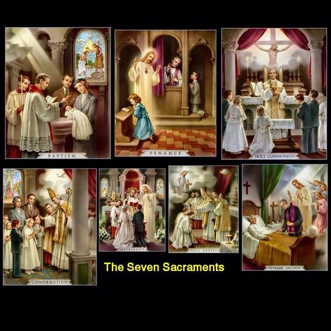 The Seven Sacraments The 7 Sacraments, The Seven Sacraments, 7 Sacraments, Catholic Bible Verses, Seven Sacraments, Catholic Confirmation, Traditional Catholicism, Catholic Memes, Catholic Beliefs