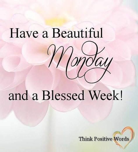 Have A Beautiful Monday Pictures, Photos, and Images for Facebook, Tumblr, Pinterest, and Twitter New Week Quotes, Happy Monday Images, Monday Wishes, Monday Greetings, Monday Pictures, Happy Monday Quotes, Have A Blessed Week, Monday Morning Quotes, Good Monday Morning