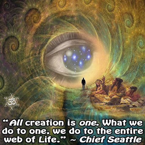 “All creation is one. What we do to one, we do to the entire web of Life.” ~ Chief Seattle Web Of Life, Native Quotes, Chief Seattle, Indian Quotes, Native American Spirituality, Native American Wisdom, Native American Quotes, Spiritual Wisdom, Spiritual Healing