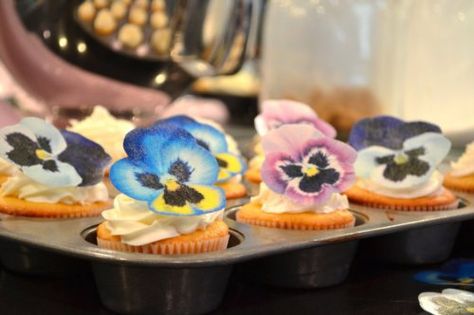 Amazon.com: Edible Pansies - Pink, Purple, and Blue Set of 12 - Cake and Cupcake Toppers, Decoration: Grocery & Gourmet Food Easter Cupcake Recipes, Usa Cake, Cupcakes Flores, Floral Cupcakes, Easter Food, Eat Pretty, Tea Party Food, Decorating Cakes, Picnic Ideas