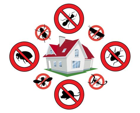 Effective Methods of Pest Control In Auckland #pestcontrol #Auckland Bird Control, Pest Prevention, Natural Pesticides, Flea Prevention, Bug Control, Bees And Wasps, Natural Pest Control, Pest Management, Organic Soil