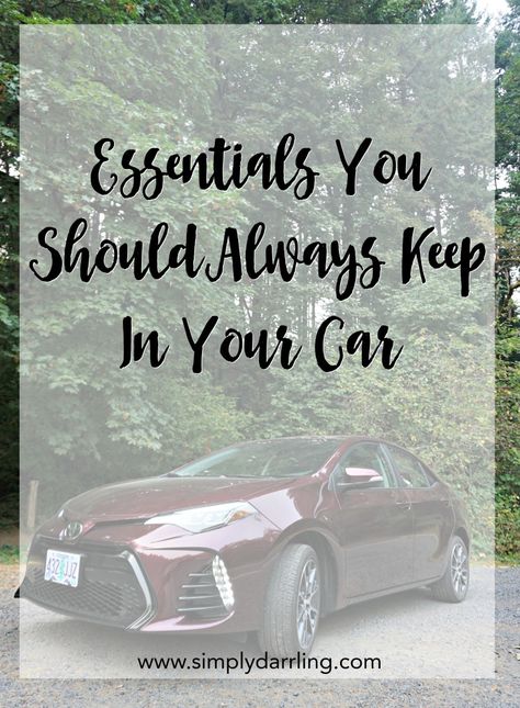 What To Keep In Your Car, Things To Keep In Your Car, Whats In My Car, Packing List For Florida, Car Necessities, Car Care Kit, Car Organization Diy, Mobile Detailing, August Challenge