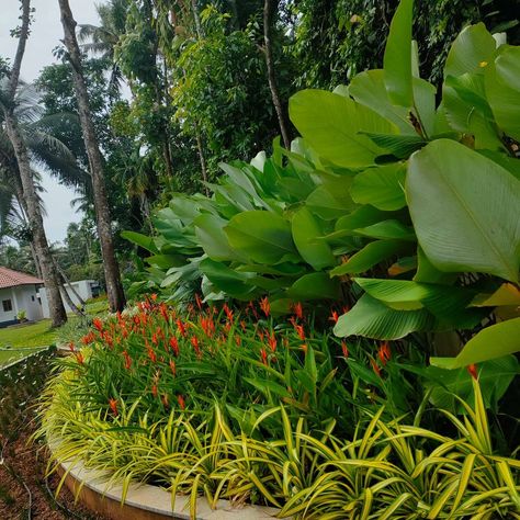 Designs by Gardening & Landscaping Urban Portico, Ernakulam | Kolo Commercial Building Landscape Design, Kerala Landscape Design, Storage Furniture Design, Tropical Garden Design, Gardening Landscaping, Floor Plan Layout, Main Door Design, Kitchen Furniture Design, Tropical Landscaping