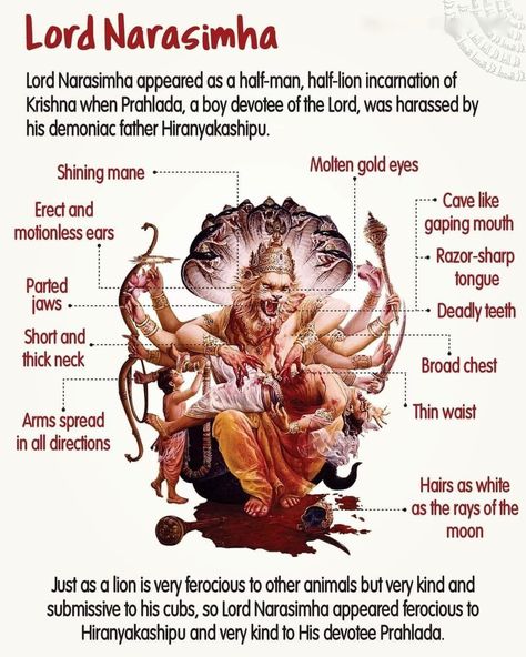 Lord Narasimha, Short And Thick, Half Man, Vedic Art, Lord Vishnu, Gold Eyes, Cool Pictures, Quick Saves, Art