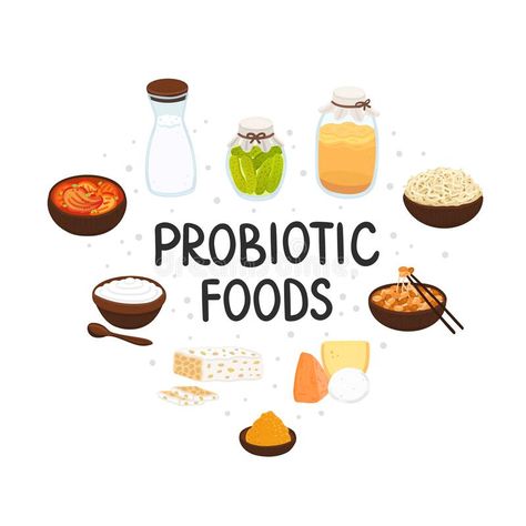 Vector probiotic foods. Best sources of probiotics. Beneficial bacteria improve health. Design is for label, brochure vector illustration Probiotics For Kids, Sources Of Probiotics, Natural Prebiotics, Probiotic Skin Care, Natural Probiotics, Healthy Gift, Food Icon, Prebiotics And Probiotics, Probiotic Foods