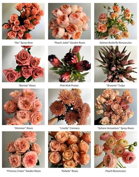 Real Flower Bridal Bouquet, Flower Kinds, Bouquet Business, Floral Designs Arrangements, Late Summer Flowers, Fall Wedding Color Palette, Spring Wedding Decorations, Bridal Bouquet Fall, Flower Guide