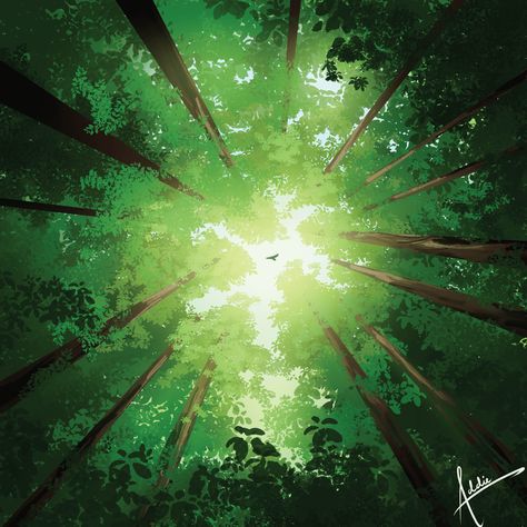 #forest #canopy #leaf #forests #green #sunlight #nature #landscape #bird #art #digitalart #clipstudiopaint Forest Aesthetic Landscape, Green Aesthetic Painting, Magic Forest Art, Sunlight Painting, Bennett Aesthetic, Forest Digital Art, Nature Landscape Art, Forest Bedroom, Lighting Reference