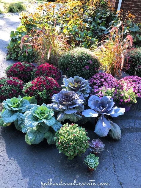 Fall Cabbage And Mums, Pink Mums Front Porch, Pansies And Cabbage Flower Bed, Burgundy Mums Fall Porch, Fall Cabbage Planter, Ornamental Cabbage Planter Fall, Fall Porch Plants, Fall Garden Ideas Decor, Yellow Mums Front Porch