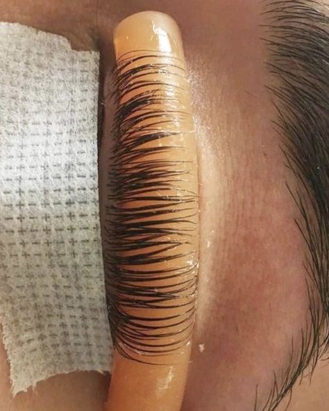 Lash Perm Before And After, Curled Eyelashes, Curled Lashes, Eyelash Curling, Permed Eyelashes, Curl Eyelashes, Extra Long Eyelash Extensions, Long Natural Eyelashes, How To Curl Eyelashes