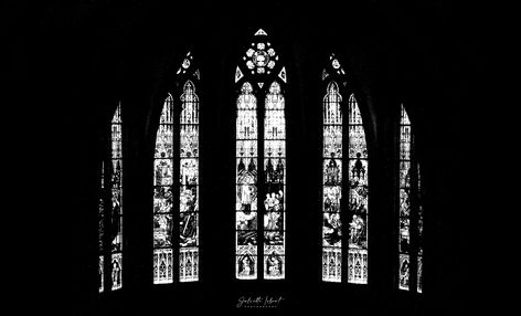 Gothic Aesthetic Cover Photo, Black Icon Background, Goth Aesthetic Black And White, Black And White Vampire Aesthetic, Alt Pc Wallpaper, Whimsigoth Macbook Wallpaper, Gothic Background Wallpapers Laptop, Goth Widgets Long, Desktop Wallpaper Spooky