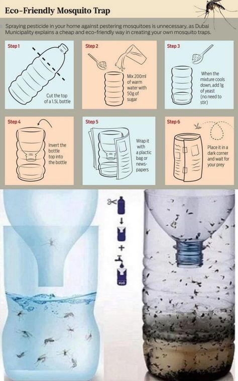 Get Rid Of Mosquitos, Mosquito Trap Diy, Mosquito Repellent Homemade, Mosquito Traps, Diy Mosquito Repellent, Bug Spray Recipe, Diy Pest Control, Diy Beer, Natural Mosquito Repellant