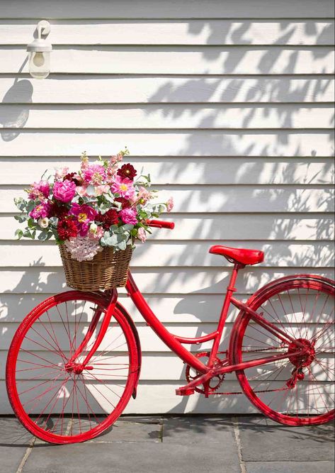 Red Tricycle, Best Exterior Paint, Red Bike, Pretty Bike, Outdoor Tables And Chairs, Lawn Ornaments, Bicycle Art, Wedding Neon Sign, Neon Wedding