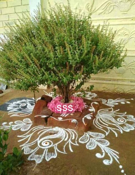 Tulsi Mata, Thulasi Plant, Tulasi Plant, Tulsi Pot, Rangoli Side Designs, Rangoli Designs Latest, Simple Rangoli Designs Images, Simple Rangoli Border Designs, Rangoli Borders