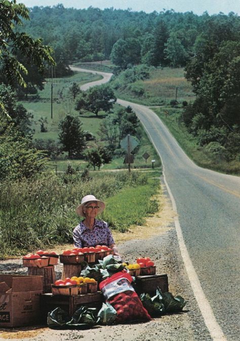 Northern Georgia, Vegetable Stand, Farm Stand, Down On The Farm, Back Road, Rural Life, On The Road Again, Country Farm, Down South