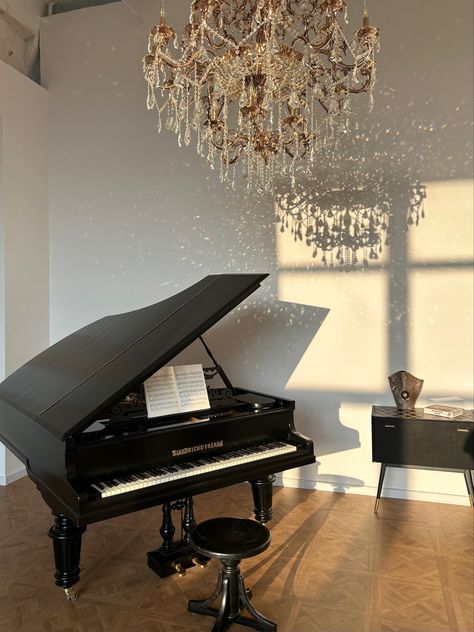 Brown Grand Piano, Piano Room Aesthetic, Musical Instruments Aesthetic, Grand Piano Room, Piano Aesthetic, Learning Piano, Beautiful Piano, Grand Pianos, Black Piano