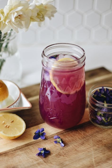 spring herbal tonics | herbalism — Earth Star Herbals Blueberry Shrub, Elixir Recipe, Shrub Recipe, Herbal Vinegar, Alcohol Infusion, Tonic Drink, Herbal Tonic, Tonic Recipe, Herbal Elixir