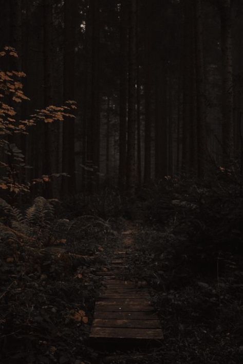 Dark Wood Aesthetic, Dark Academy Aesthetic, Dark Naturalism, Dark Forest Aesthetic, Earthy Aesthetic, Academia Wallpaper, Fairytale Photography, Tableau Art, Dark Academia Aesthetic