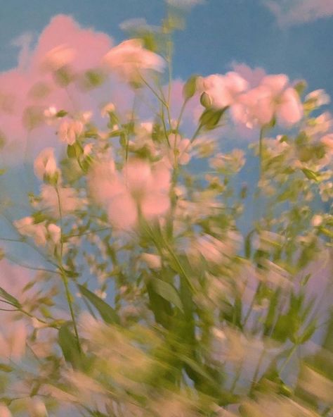 Spring Aesthetic Illustration, Pink Spring Aesthetic, Hazy Aesthetic, Spring Aesthetic, Art Plastique, Aesthetic Photo, Flowers Photography, Pretty Flowers, Pretty Pictures