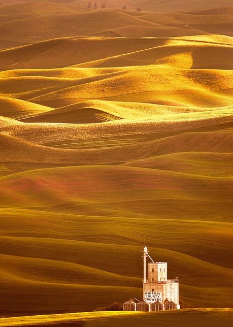 My Two Favorite Places to Photograph in the Palouse - KelbyOne Insider Palouse Washington, The Palouse, Eastern Washington, Evergreen State, Landscape Photography Tips, Country Scenes, Camera Reviews, Rolling Hills, Scenic Landscape