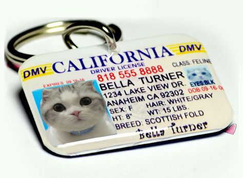 LOL, I'm so getting this! Pet ID Tags California Driver License for dogs or cats by ID4Pet. $25.00, via Etsy. Driver License, Cat Id Tags, Id Tags, Pet Id Tags, Pet Tags, Pet Id, Id Tag, Dog Tag, Name Tag