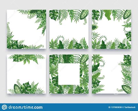 Exotic leaves frame. Tropical leaf border, nature summer frames and luxury palm leaves borders vector design background. Illustration about border, jungle, modern, card - 137083838 Leaf Border Design, Leaf Boarder Designs, Jungle Border, Tropical Frame Border, Watercolor Tropical Flowers Frame, Deco Disney, Palm Leaf Wallpaper, Leaf Border, Leaves Vector