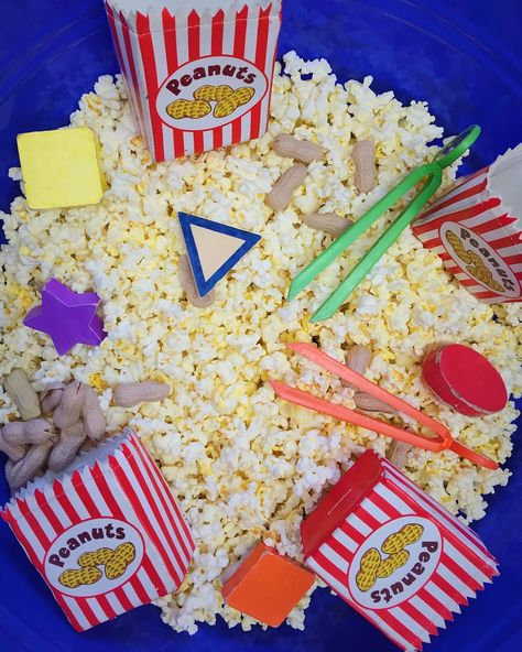 Circus Sensory Bin (from The Cottage via Instagram: https://www.instagram.com/p/BCbALdak0XU/?taken-by=thecottagebend) Circus Sensory, Popcorn Crafts, Preschool Circus, Circus Classroom, Circus Activities, Early Childhood Education Activities, Circus Crafts, Zoo Activities, Infant Classroom