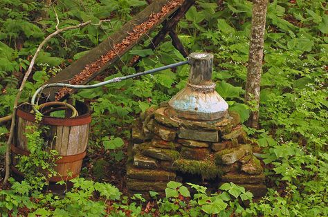 Moonshine Whiskey, How To Make Moonshine, Garden Signs, Life Inspiration, Southern Style, Old Pictures, Bird Bath, Painting Inspiration, Bird House