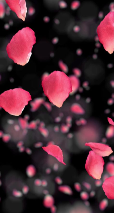 Rose Petals Falling, Petals Falling, Halloween Recipes Brownies, Islamic Wallpaper Hd, Beautiful Flowers Wallpapers, Pink Petals, Cute Wallpaper For Phone, Scene Creator, Back To Nature