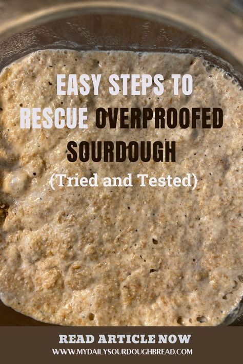 Overproofed Sourdough Recipes, Cold Proofing Sourdough, Sourdough Proofing Chart, Proofed Sourdough, What To Do With Overproofed Sourdough, Sourdough Inclusions Ideas, Proofing Sourdough Bread, Over Proofed Sourdough, Sourdough For Dummies