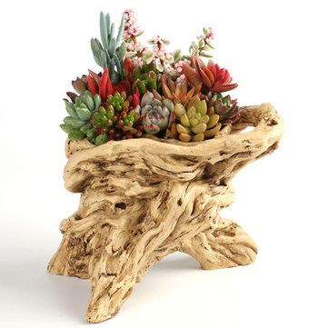 I found this amazing Resin Wooden Plant Pot Home Decorative Wood Colored Fleshly Plant Vase with AU$26.49,and 14 days return or refund guarantee protect to us. --Newchic Windowsill Ideas, Driftwood Planters, Wood Succulent Planter, Wooden Plant Pots, Log Planter, Artificial Wood, Resin Planters, Tree Root, Cactus Planter