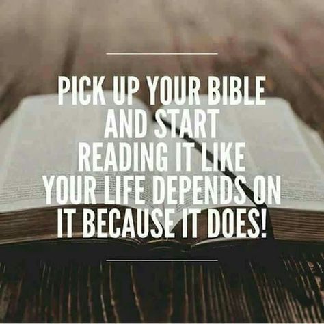 Pick up your Bible and start reading it like your life depends on it, because it does! Jehovah Quotes, Jehovah Witness Quotes, Spiritual Thoughts, Bible Truth, Read Bible, Verse Quotes, Bible Inspiration, Bible Verses Quotes, Note To Self