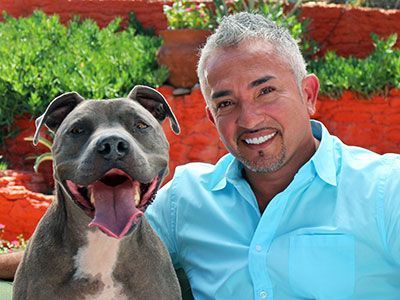 Article by Cesar Millan on Why I Love Pit Bulls. This is great! Too bad there is such narrow mindedness about the breed. #pitbull Dog Whisperer Cesar Millan, American Dog, Cesar Millan, Dog Whisperer, Dog Shaming, Dog Training Techniques, Pit Bull Love, Mexican American, Inspiring People