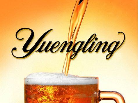 Enough Said.... Yuengling Beer, Meet The Staff, I Like Beer, Enough Said, The Staff, If You Love, Food And Drink, Beer, Drinks