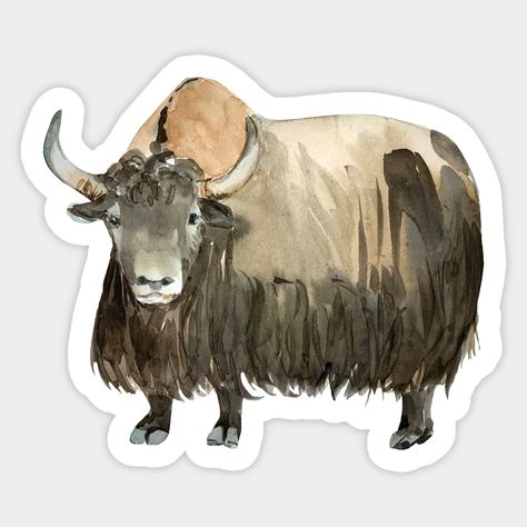 Watercolor domestic yak -- Choose from our vast selection of stickers to match with your favorite design to make the perfect customized sticker/decal. Perfect to put on water bottles, laptops, hard hats, and car windows. Everything from favorite TV show stickers to funny stickers. For men, women, boys, and girls. Yak Painting, Yak Illustration, Creature Design, Animal Illustration, Creative Inspiration, Funny Stickers, Art Shop, Custom Stickers, Mammals