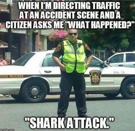 Funny Police Quotes, Cop Jokes, Police Jokes, Police Memes, Police Quotes, Funny Police, Police Lives Matter, Cops Humor, 1st Responders