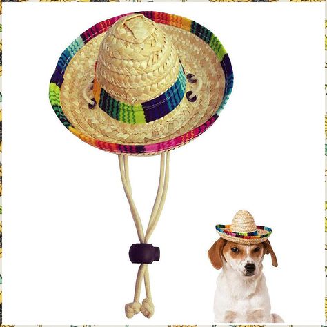 Dog Sombrero Hat, Mini Straw Sombrero Hats Mexican Hats Sombrero Party Hats for Small Pets/Puppy/Cat Dog Sombrero, Mexican Hats, Sombrero Hat, Mini Puppies, Sun Dogs, Pet Supplies & Accessories, Visor Cap, Happy Hours, Dog Hat