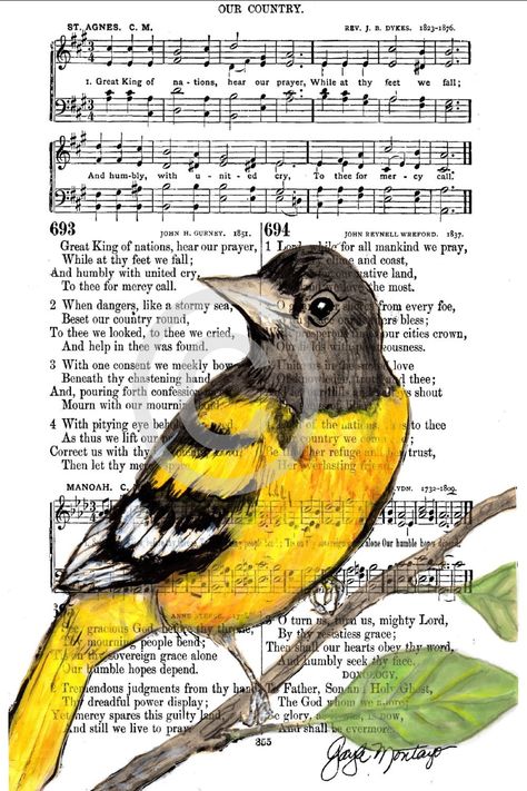 Baltimore Oriole, Sheet Music Art, Watercolor Art Journal, Newspaper Art, Spiritual Songs, Book Page Art, Angel Drawing, Watercolor Books, Bird Coloring Pages