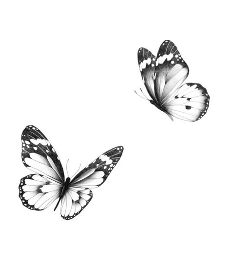 Realistic Butterfly Tattoo, Borboleta Tattoo, Butterfly Tattoos Images, Butterfly Tattoo Stencil, Unique Butterfly Tattoos, Butterfly Tattoos For Women, Butterfly Tattoo Designs, Classy Tattoos, Butterfly Tattoos